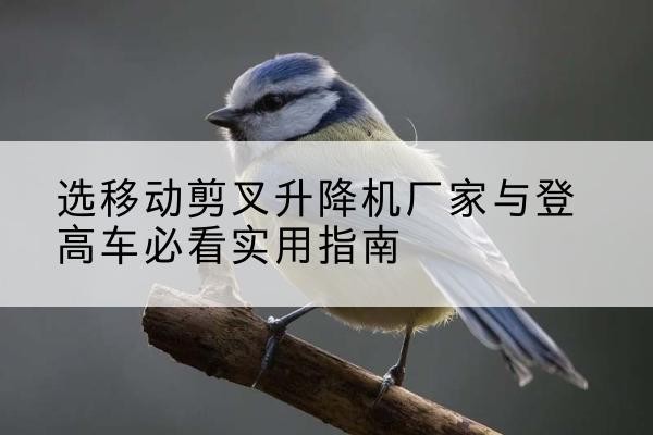 金湾电动升降机厂家-选移动剪叉升降机厂家与登高车必看实用指南