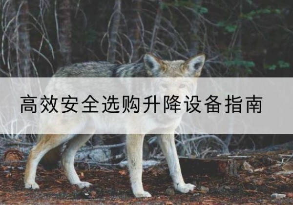 金湾升降货梯厂家推荐-*安全选购升降设备指南