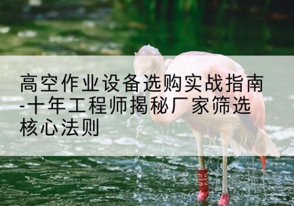 金湾剪叉式升降机厂家-高空作业设备选购实战指南-十年工程师揭秘厂家筛选核心法则